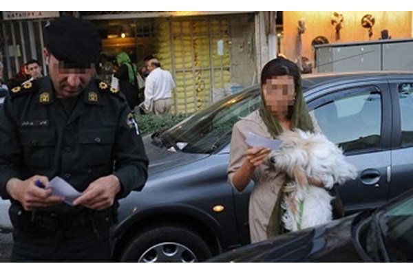 خط و نشان پلیس برای "سگ گردانان" / حمل سگ در خودرو "جرم" است 
