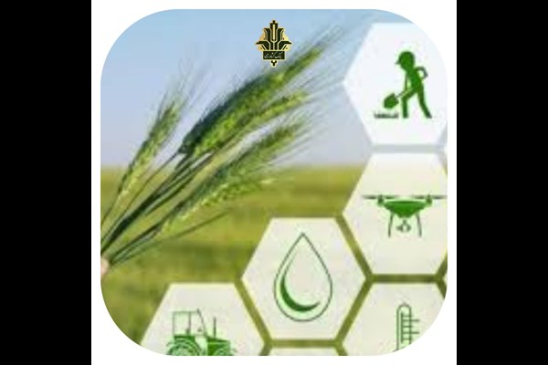 پرداخت بیش از ۱۰۰۰ میلیارد ریال تسهیلات از محل اعتبارات صندوق توسعه ملی و خطوط اعتباری 