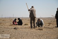 کاشت ۲ هزار و ۳۰۰ اصله نهال در منطقه سراجه استان قم