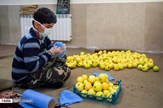 تهیه بسته غذایی برای بیمارستان مسیح دانشوری