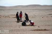 کاشت ۲ هزار و ۳۰۰ اصله نهال در منطقه سراجه استان قم